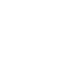 Ship With Assiduus